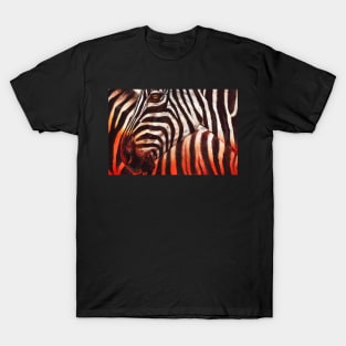 Zebra Sunset T-Shirt